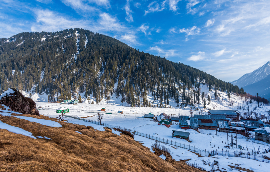Aru Valley